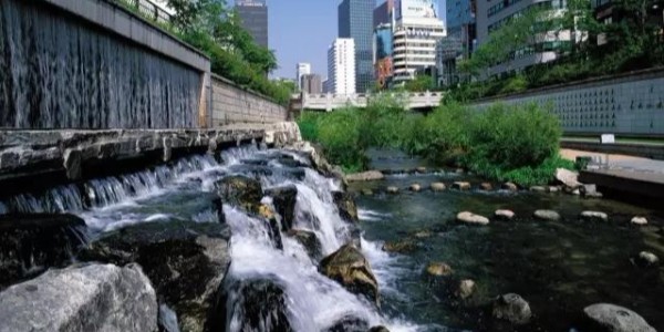 河道景觀設(shè)計(jì)秘籍：駁岸、親水、綠化、綜合治理、生態(tài)修復(fù)及植物選擇